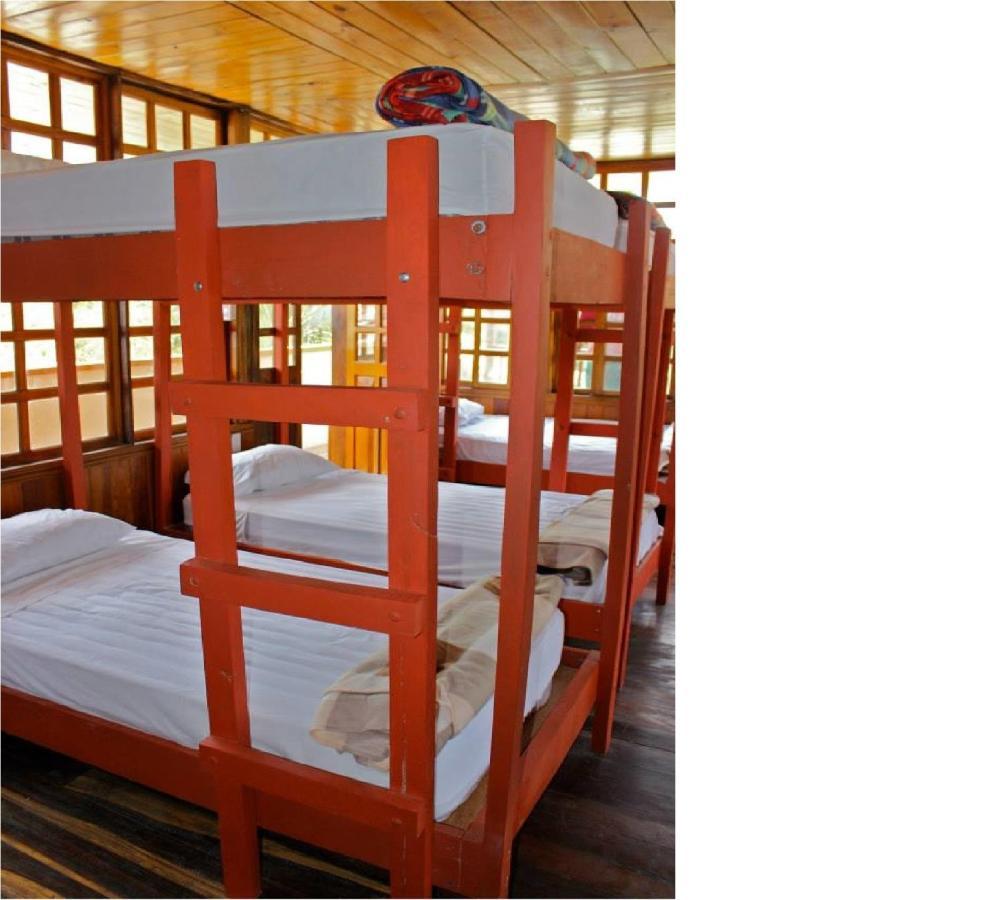 Coral Reef Surf Hostel And Camp Тамариндо Номер фото
